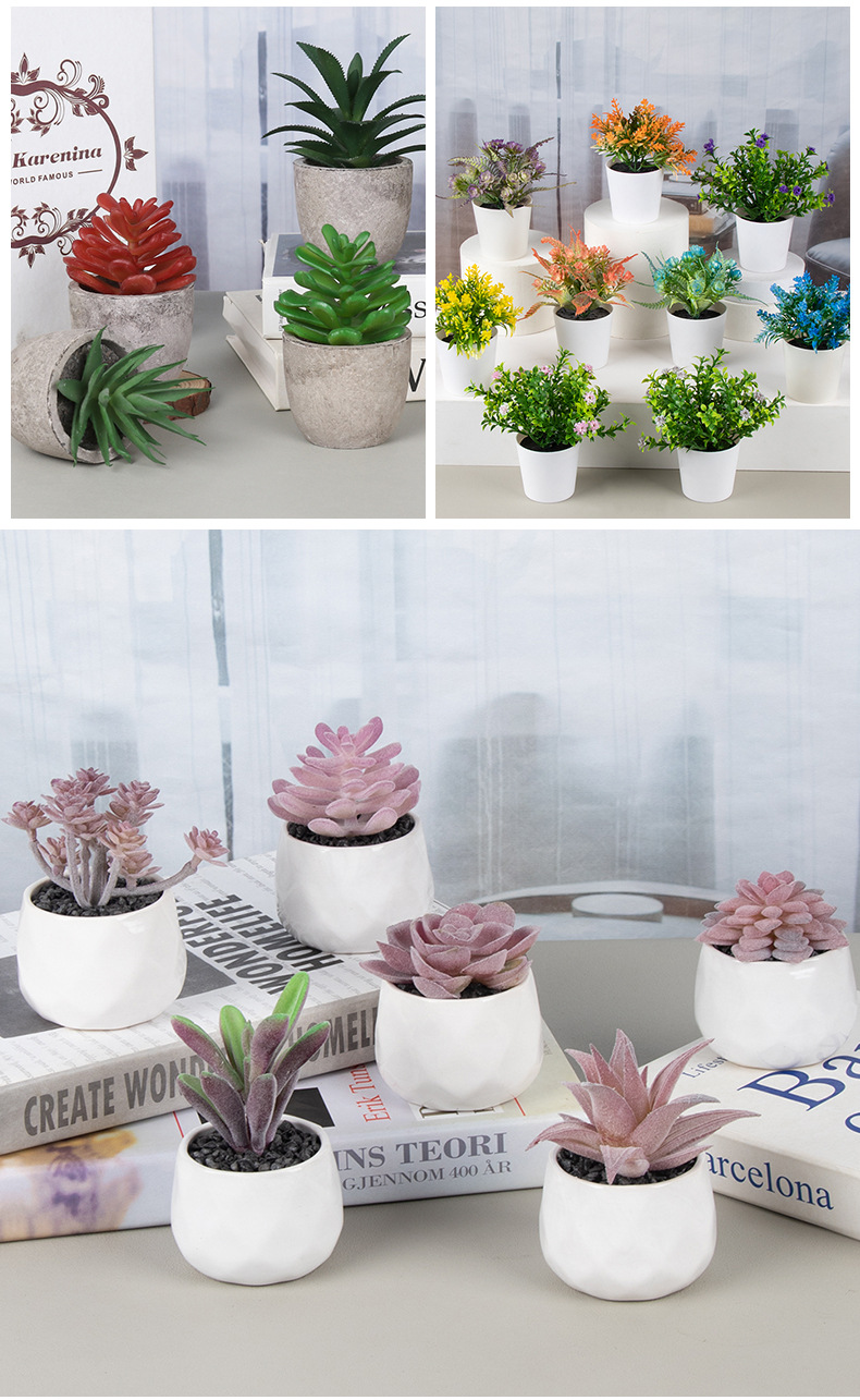 Amazon set of simulation succulent three-piece set with PVC box home decoration simulation plant potted plant gift pic 42