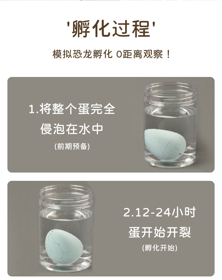 儿童玩具泡水恐龙蛋膨胀破壳可变大玩具男孩女孩恐龙孵化蛋盲盒详情4