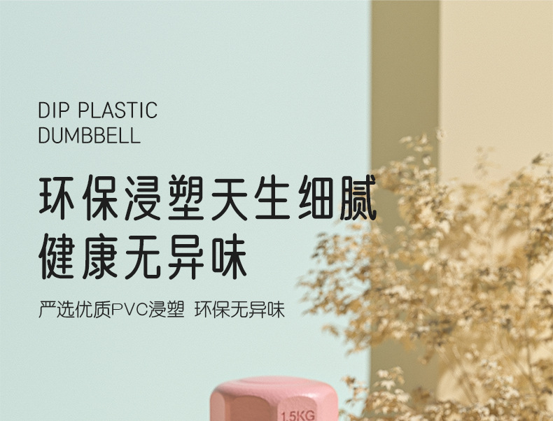 哑铃女士健身家用器材壶铃儿童小学男士练臂肌瑜伽小哑铃套装组合详情19