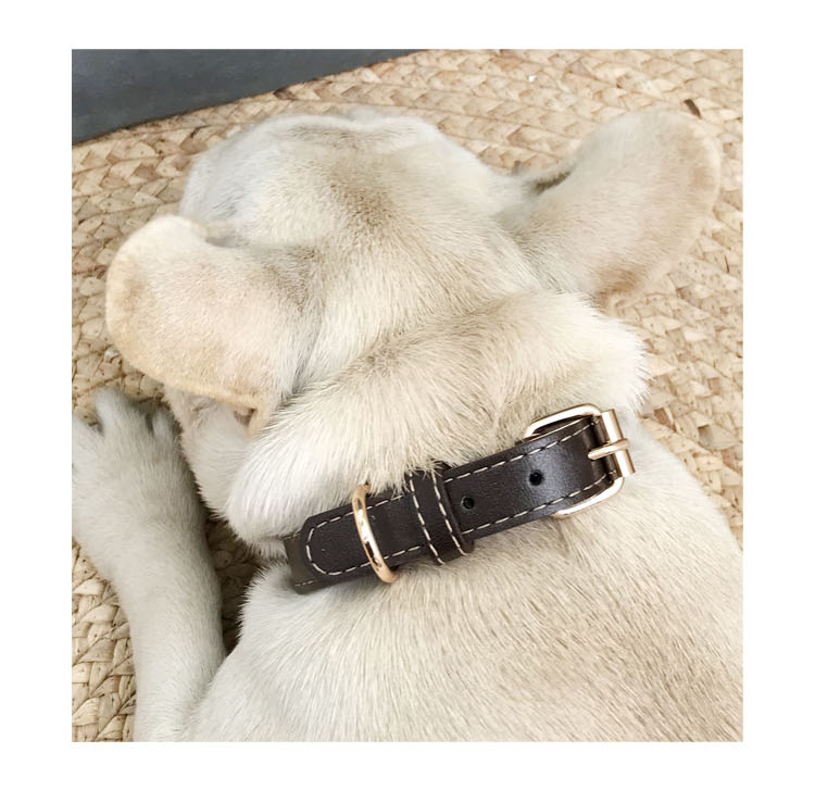 Fatou golden hair teddy collar de perro pequeño y mediano collar de cuello de PU lindo collar de cuello de mascota ajustable collar de gato pic 13