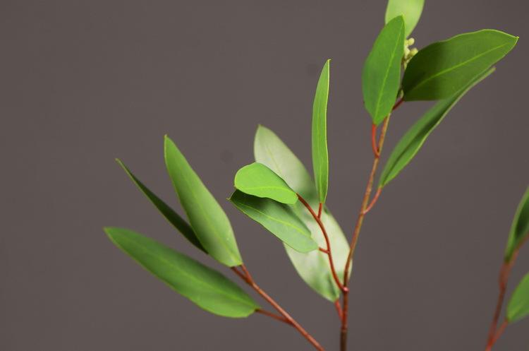 Dongli Flower Industry, the original manufacturer, offers direct sales of green plants in stock, wholesale of artificial leaves, round leaves with fruits, eucalyptus leaves, eucalyptus leaves, and one-piece consignment pic 27