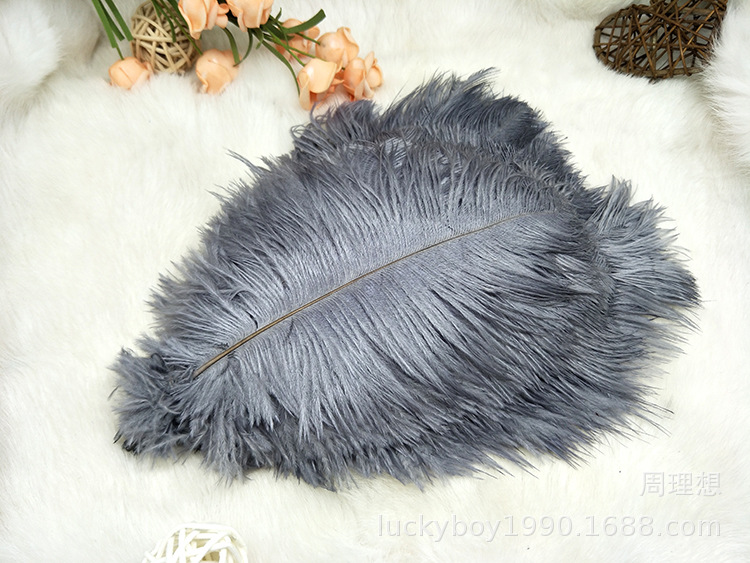 Colorful ostrich feathers 15-20cm, mask feathers, DIY accessories, wedding decoration props, ear-picking accessories, colorful feathers pic 41