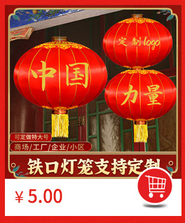 Ancient-style lanterns, Hanfu shooting props, DIY lantern walls, Lantern Festival riddles, Tang and ancient-style wedding lantern decorations pic 9