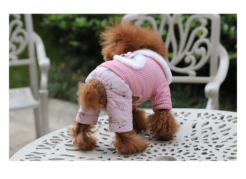 Fashionable and beautiful pet cotton-padded clothes for autumn and winter, corduroy warm dog four-legged coat, thick and comfortable cat coat pic 8