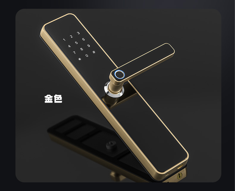 Tongtong Lock APP Cross-border Bluetooth wifi Smart electronic fingerprint smart door lock pic 11