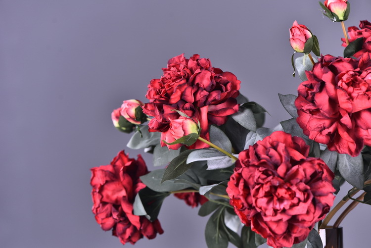 Factory direct sales of 2 simulated peonies, retro charred edge simulated peonies, soft decoration floral art for living rooms, lobbies and homestays pic 66