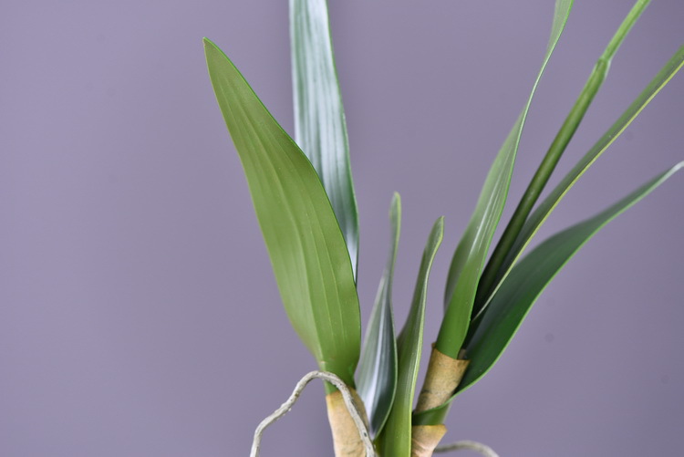 Factory direct sales of high-end artificial dendrobium, wholesale of artificial flowers with leaves, home decoration of Phalaenopsis and Lanjin artificial plants pic 10