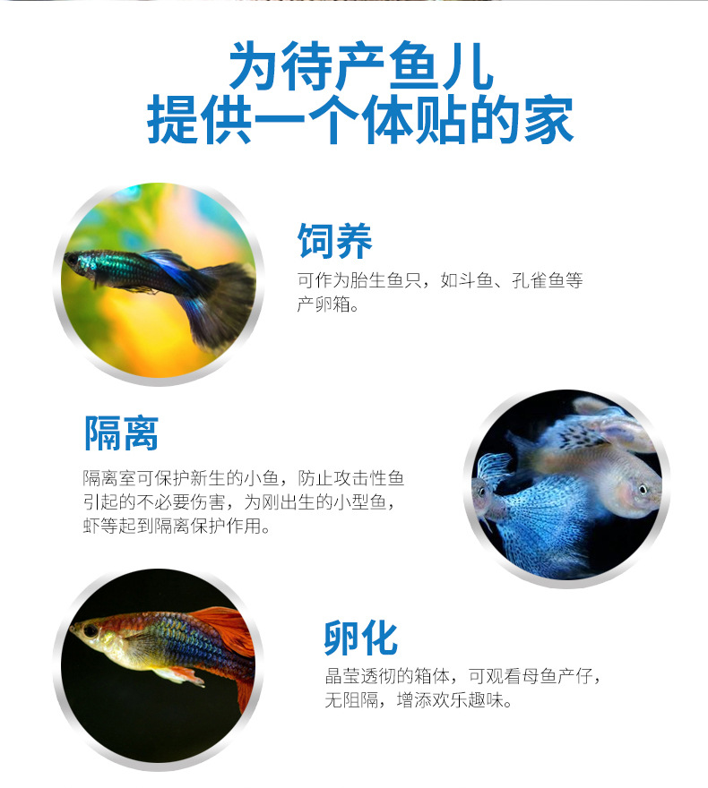 BOYU Boyu Guppy isolation box, Brine Shrimp Incubator, Incubation Box, Fish Tank isolation Box, Breeding Box FH101 pic 7