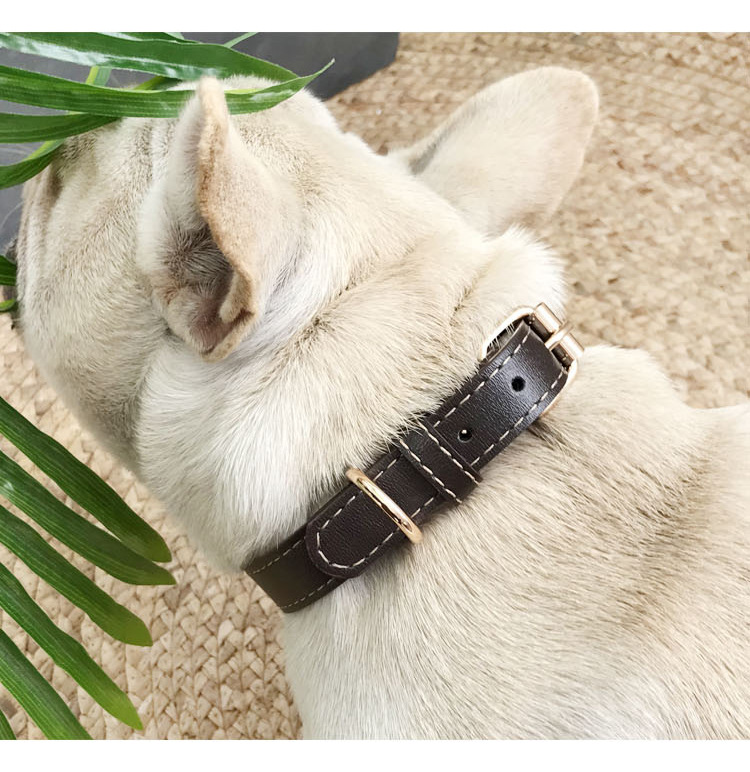 Fatou golden hair teddy collar de perro pequeño y mediano collar de cuello de PU lindo collar de cuello de mascota ajustable collar de gato pic 12