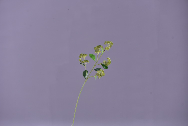 Artificial flower bouquets, flower arrangements, green plants, Dingding grass, artificial flowers, living room ornaments, decorative items, plastic flowers, photography props, silk flowers, artificial plants pic 18