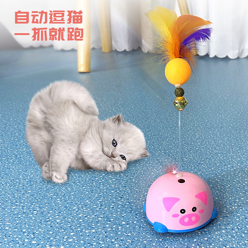 批发新款宠物猫猫用品 猫咪自动喂水碗塑料猫碗大号 不湿嘴防溅洒详情2