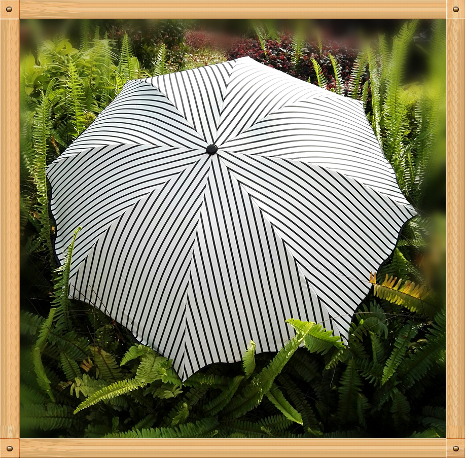 Factory direct sales of black and white striped vinyl umbrellas, Korean version of Apollo three-fold UV protection and sunshade sun umbrellas pic 5