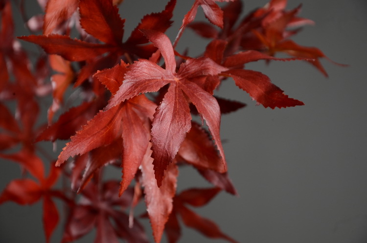 Factory wholesale of artificial flowers, direct sales from the manufacturer, wholesale of artificial green plants, home decoration flowers, red artificial leaves, artificial maple leaves pic 8