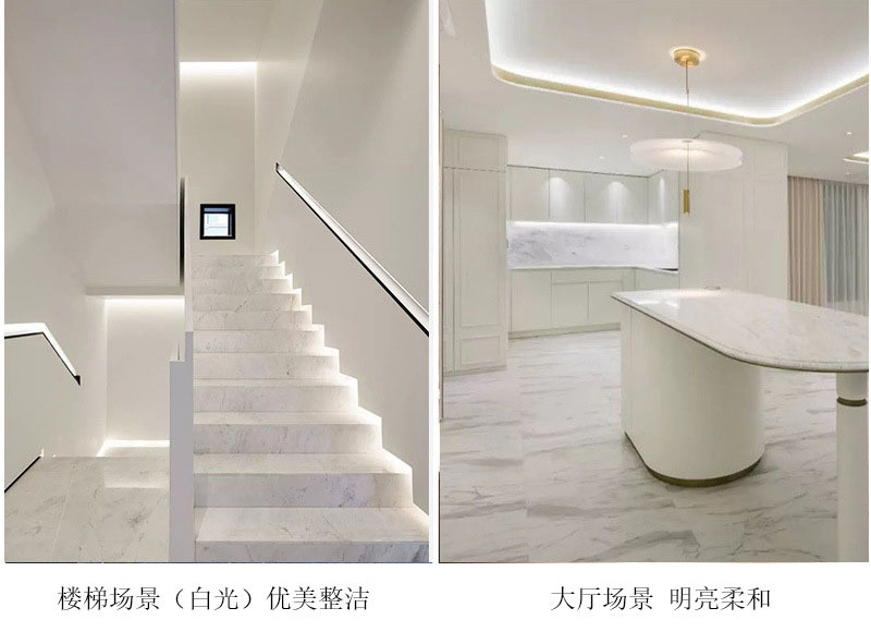 12v2835 light strip, high-brightness 24v low-voltage light strip, 120 light strip, high color rendering index 5000k soft light strip pic 4