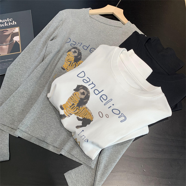 Playful and youthful embroidered printed puppy loose straight top straight-shoulder round-neck long-sleeved T-shirt for women 2025 early Spring G021418 pic 48