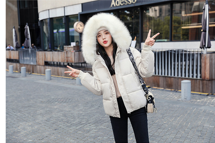 New winter cotton-padded jacket, thickened cotton-padded jacket, down cotton-padded jacket for women, short Korean-style fitted hooded bread jacket pic 27