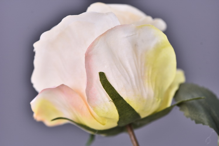 Factory wholesale of 5-head simulated rose with charred edges, retro Greek rose, living room, hotel and homestay photography props rose pic 36