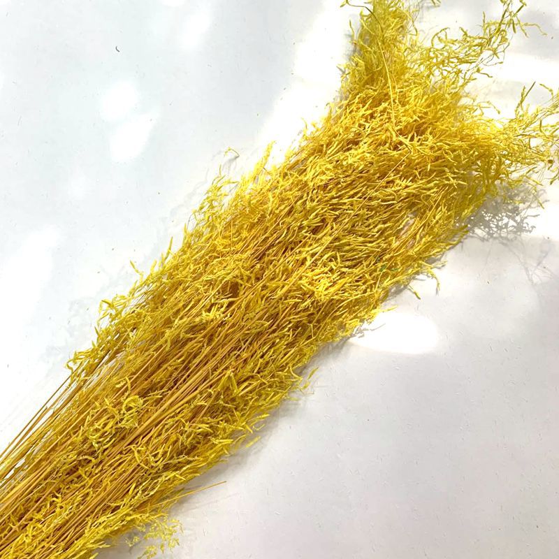 Natural plant preserved dried flowers, imported wind-driven grass handicrafts, flower arrangement, floating bottle, keychain with grass pic 10