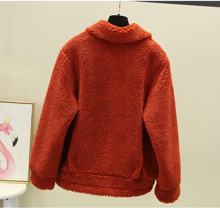 A new autumn and winter casual lambskin plush fur coat for women, a short Korean-style granular fleece warm top pic 7