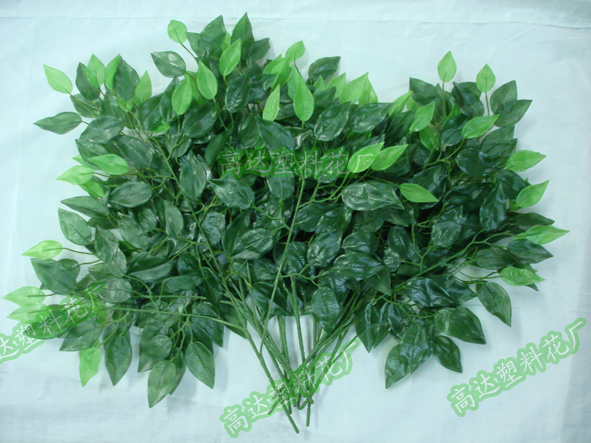 新榕树1