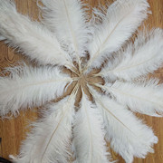 The feather fan is a special prop for the dance performance of the ostrich-colored feather fan used by the palace film crew pic 11