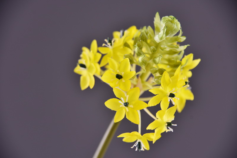 High-end artificial flower wholesale with simulated Bethlehem Star line floral design and simulated velvet decorative artificial flowers pic 17