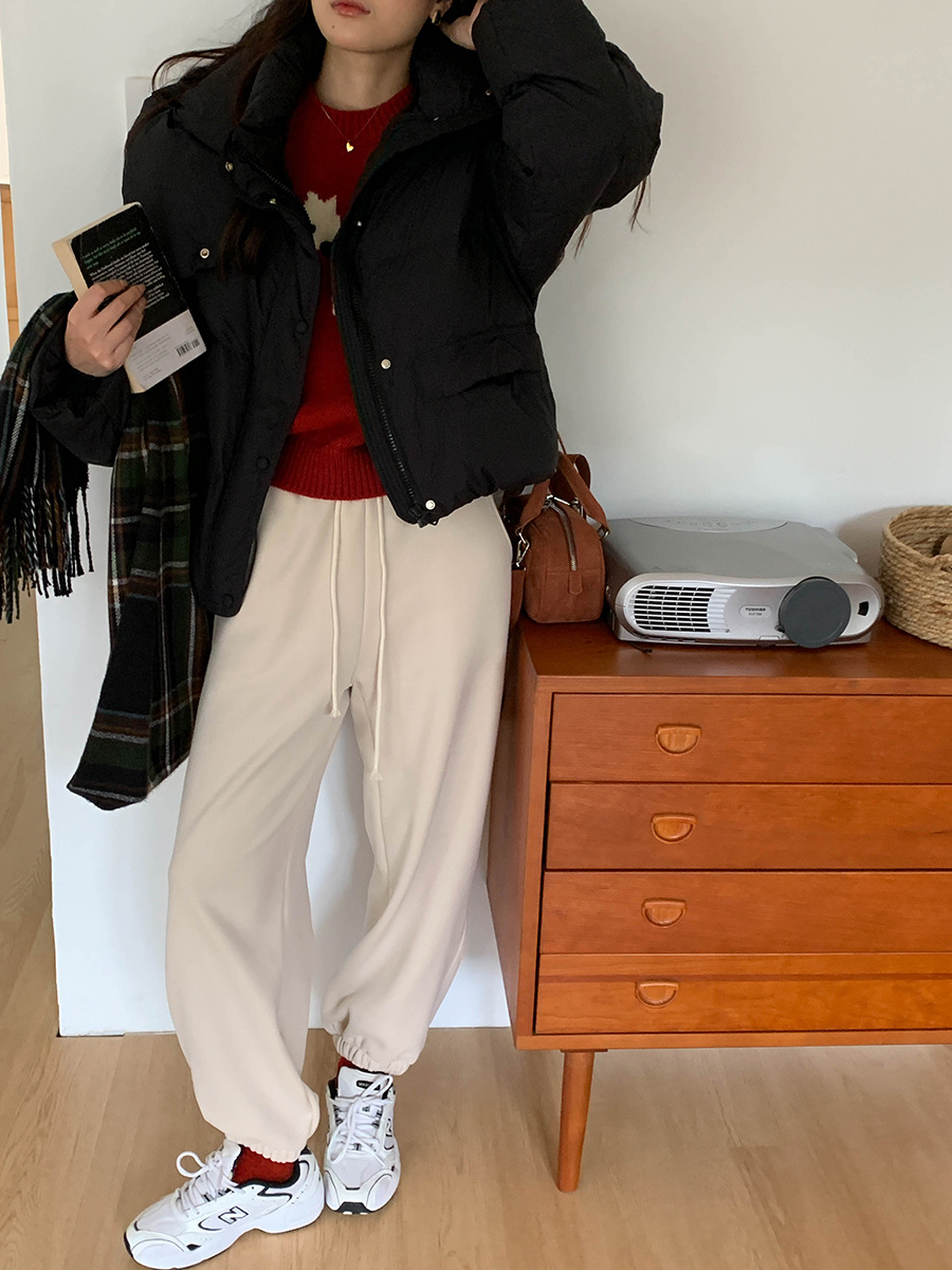 3th Morning North Island Park Korean Style Youthful Dog Embroidered Round Neck Pullover Sweater ZY2381 pic 50