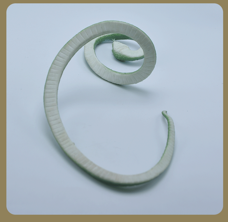 景区地摊跨境吓人整蛊假橡胶蛇 创意新奇特玩具整人仿真蛇批发详情5