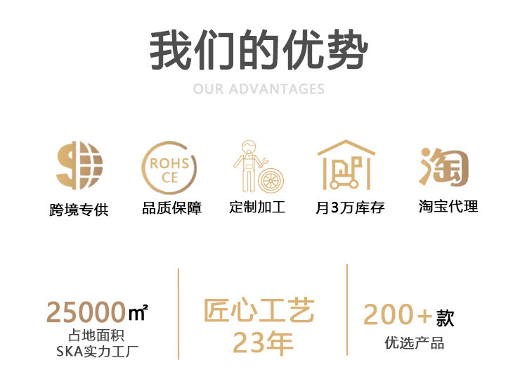 桌面植物盆栽批发室内绿植仿真可种多肉花苗diy欧式ins风植物摆件详情11