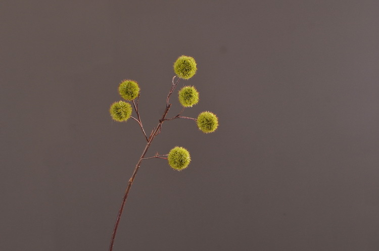 Factory direct sales of realistic chestnut fruit branches, home decoration realistic simulation flowers, model rooms, hotel soft decoration realistic fruits pic 3