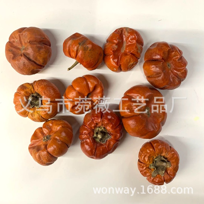Natural plant dried fruits, small pumpkins, flower arrangements, handicrafts, soft furnishings, grass pic 3