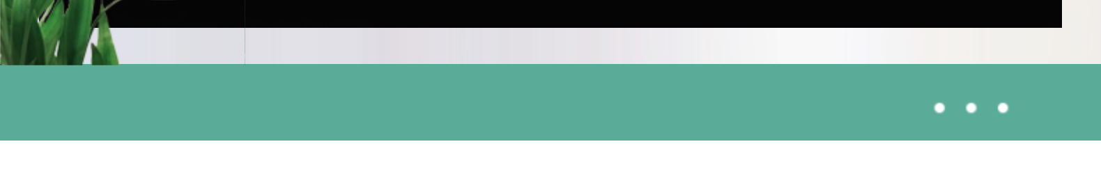 三八节礼物满天星干花花束手提礼品七夕礼品情人节七夕地摊花束详情3