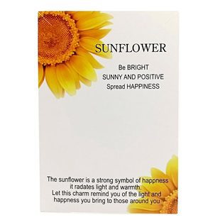 Amazon Cross-border New 8*8CM letter to my teacher Teacher Graduation Season accessory packaging card pic 5