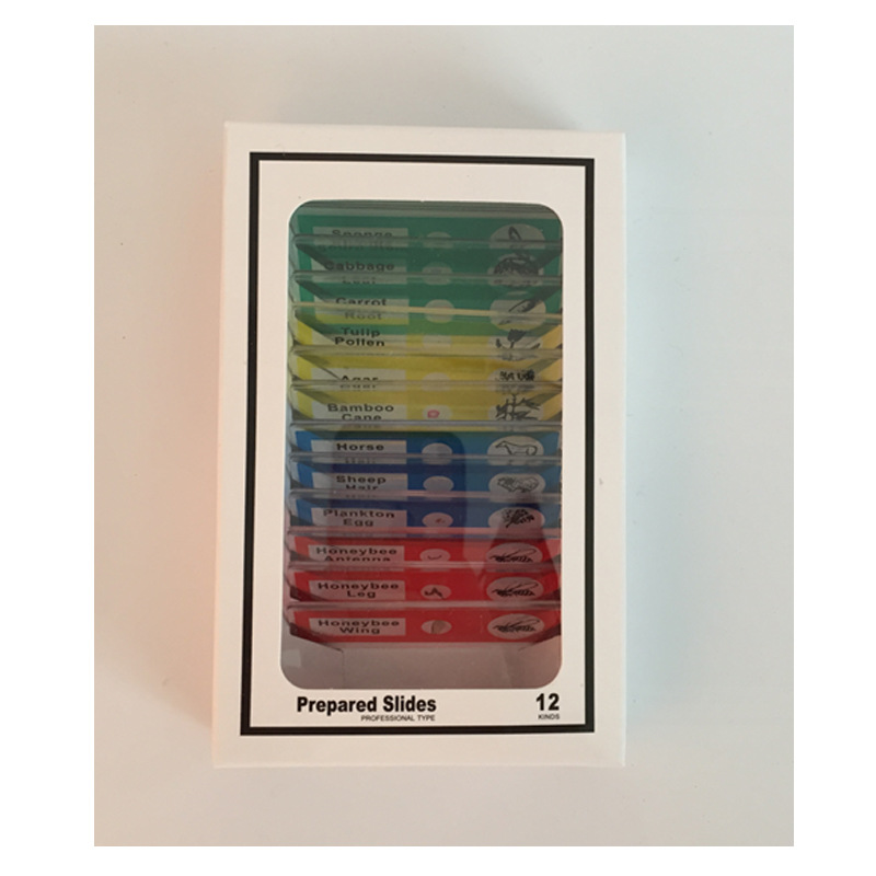 Customizable biological specimen cutting and microscope specimen slides for primary and secondary school students pic 4