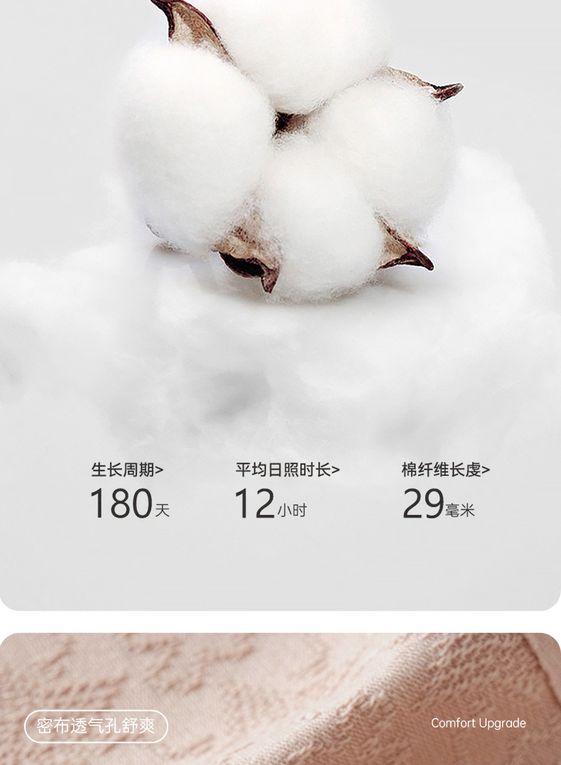 纯棉内裤女士抗菌全棉裆夏季薄款无痕透气内裤纯绵女夏季少女生详情5