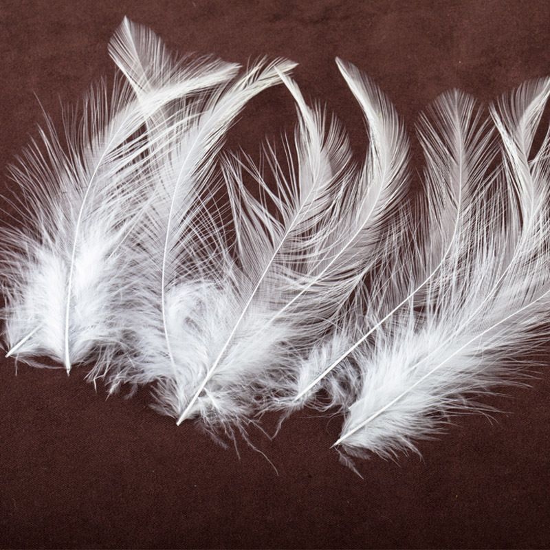源头厂家供应5-6白项毛鸡毛卷 头花胸花DIY道具服装辅料 彩色羽毛详情13