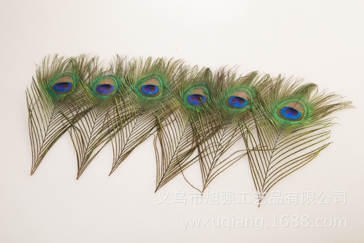 现货批发25-130cm孔雀羽毛 天然大眼睛孔雀毛diy手工饰品头饰装饰详情18