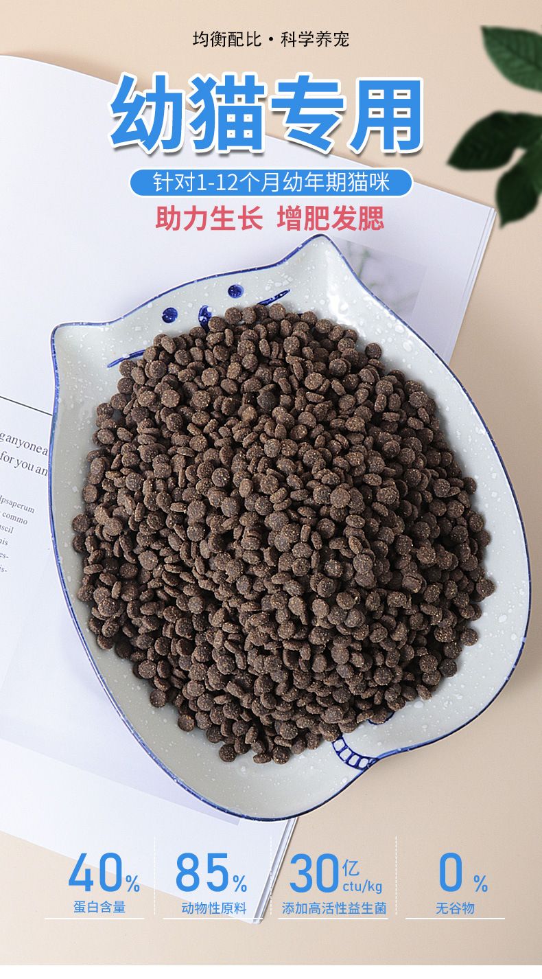 40幼猫粮 (1)