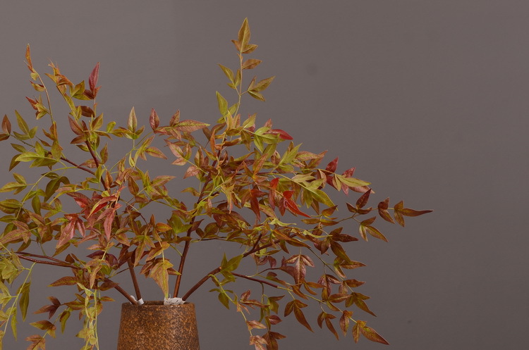 Dongli Source Factory, wholesale and direct sales of artificial plants in stock, wholesale of India leaves, autumn color leaves, hand-held flowers, leaf materials, props, flower art, bonsai, home decoration flowers pic 6