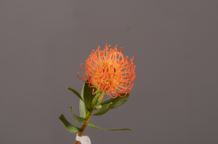 Factory direct sales, wholesale of in-stock inventory of artificial large needle cushion flowers, artificial flower sets, wholesale of living room, dining table, entrance hall, desktop decoration, flower arrangement and ornaments pic 37