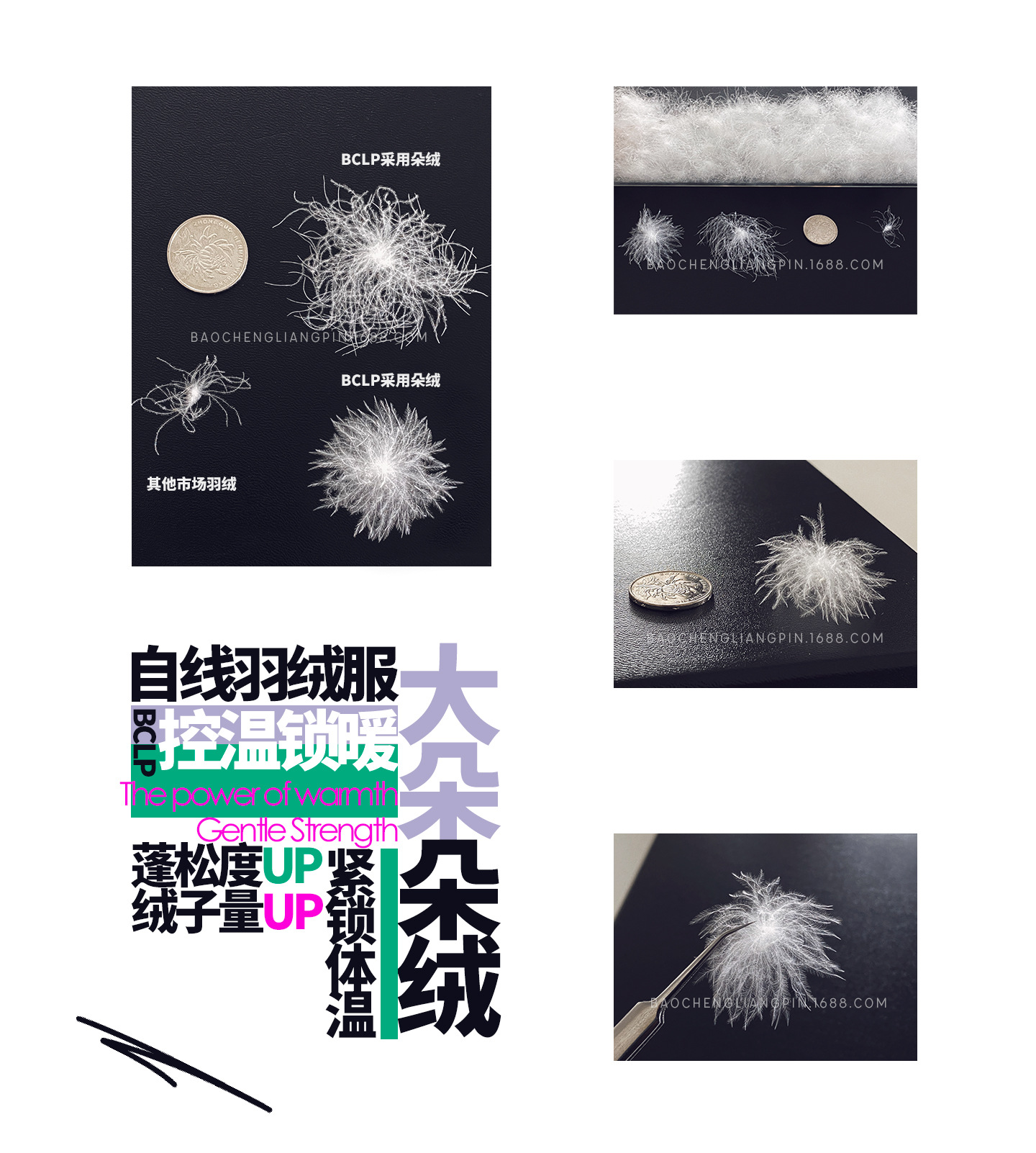 羽绒介绍.jpg