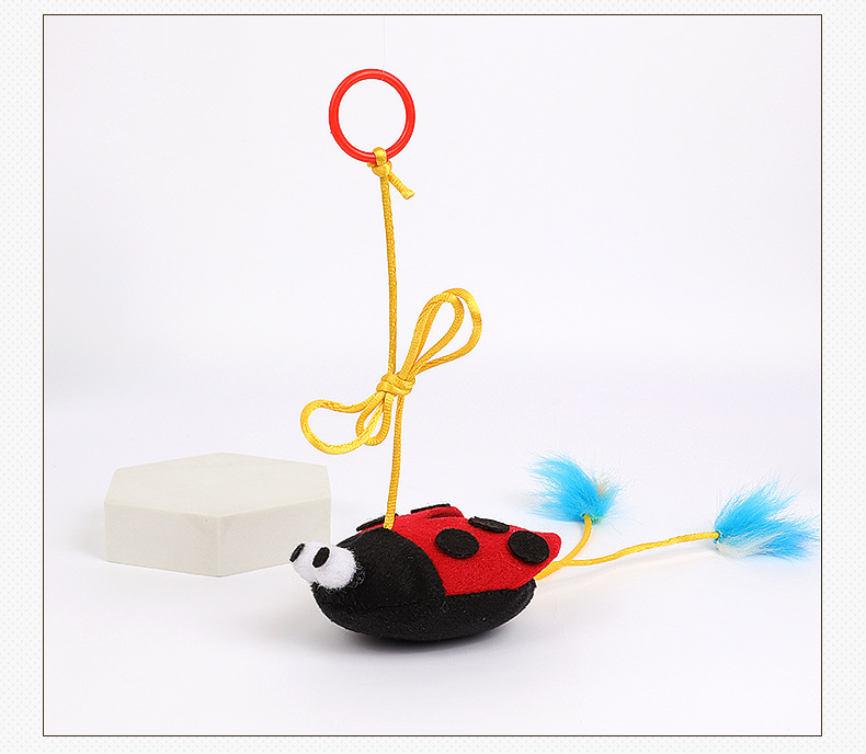 宠物用品宠物用品宠物猫咪玩具批发 吊环拉绳动物逗猫玩具 猫薄荷小鸟猫咪自嗨玩具详情15