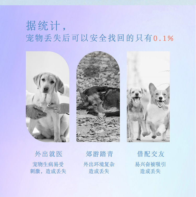 炫彩狗狗牵引绳渐变宠物胸背带外出遛狗绳防挣脱狗项圈大型犬狗绳详情9