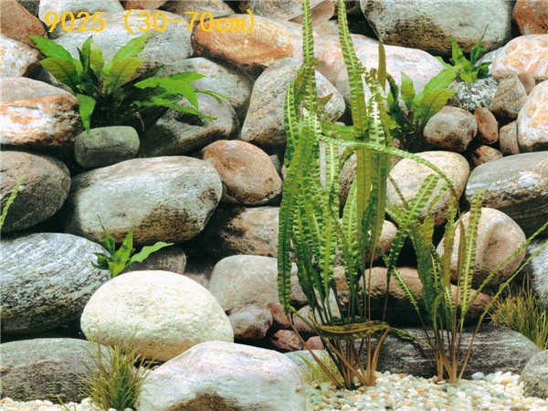 Wholesale export of 50cm high background painting, single-sided thin painting, 3D stereoscopic ecological aquarium sticker paper pic 48