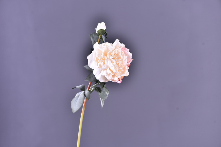 Factory direct sales of 2 simulated peonies, retro charred edge simulated peonies, soft decoration floral art for living rooms, lobbies and homestays pic 22