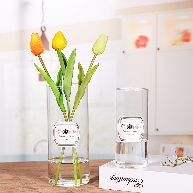 Nordic straight tube vase, simple transparent glass vase, home fresh flowers, hydroponic decoration, living room glass vase ornaments pic 5