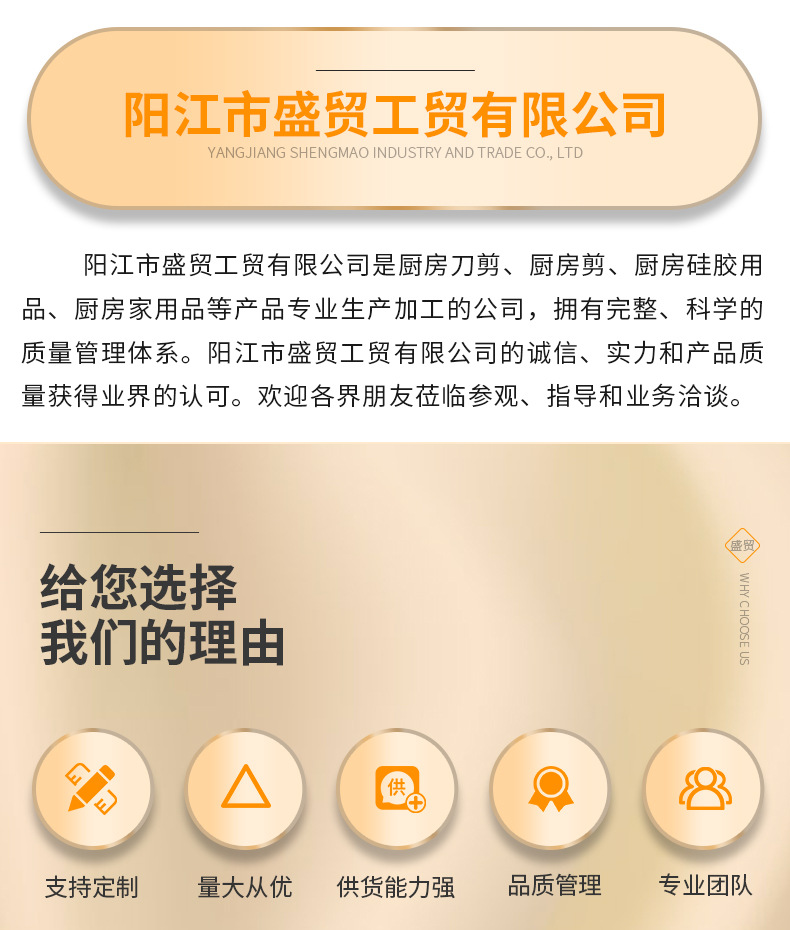 盛贸企业介绍_04