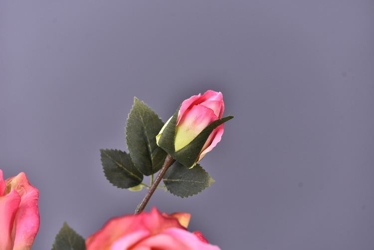 5 pieces of retro charred edge rose artificial flower decoration, artificial flower imitation dried flower, home soft decoration withered and dry, wedding Lanjin artificial rose wholesale pic 37