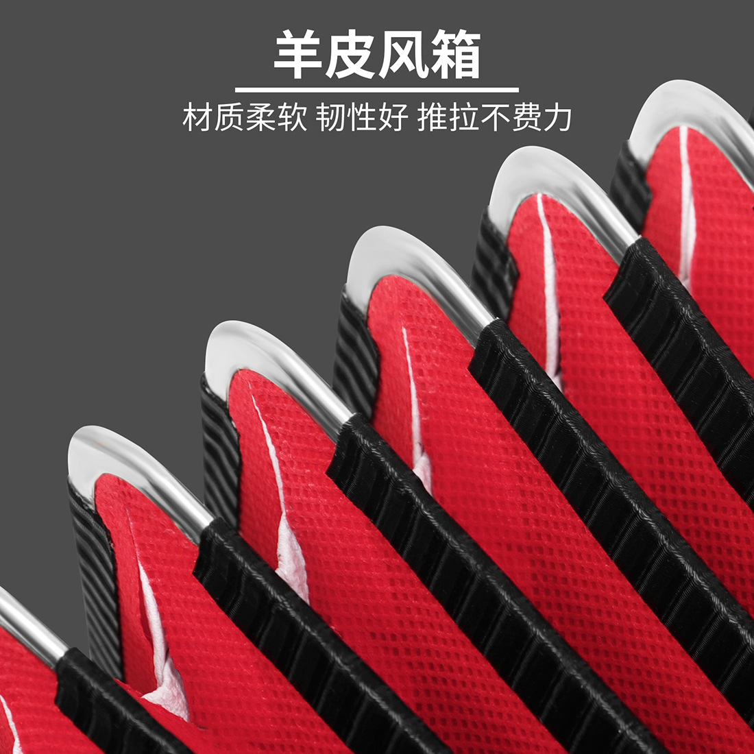 LADE巴扬22键8贝斯手风琴键钮手风琴儿童成人专业键盘手风琴乐器详情7