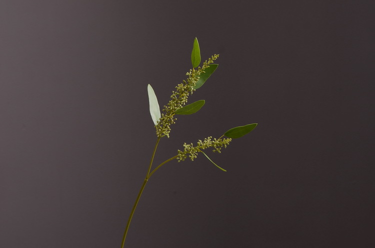 Dongli Flower Industry Decoration Green Nordic Home Artificial Flower Plants Wholesale Flower arrangement materials Artificial leaves, small branches with fruits eucalyptus leaves pic 9